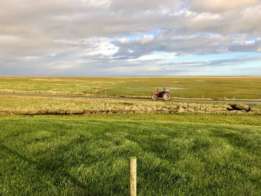 Hallig Langeness Landschaft Wattenmeer Nordsee