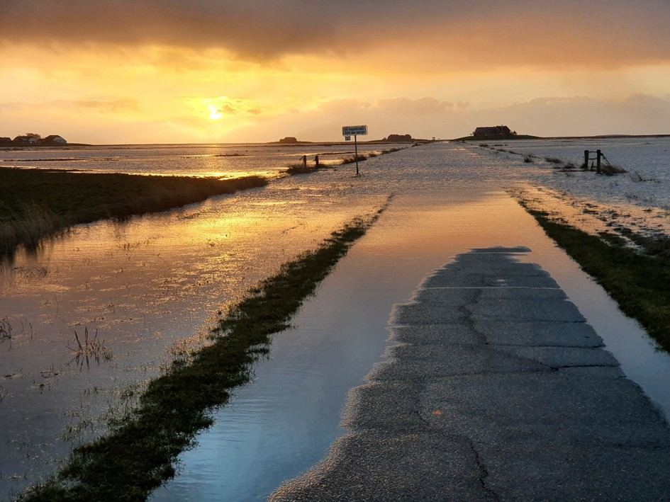 Abendrot Halligdamm · Hallig Langeness