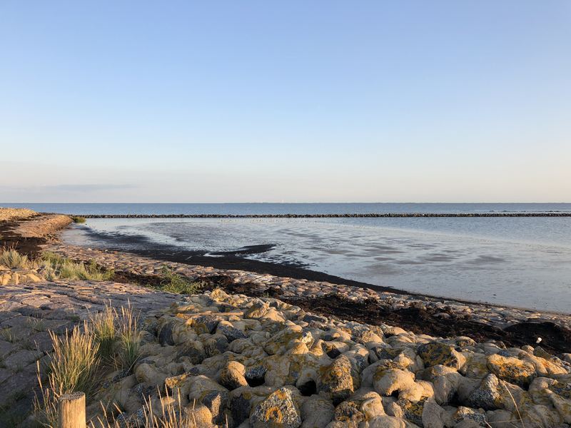 Watt bei Ebbe · Hallig Langeness